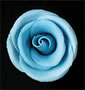 Elegance Gumpaste Medium Rose - Blue