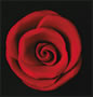 Elegance Gumpaste Medium Rose - Red
