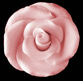 Elegance Gumpaste Large Rose - Pink