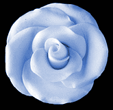 Elegance Gumpaste Large Rose - Blue