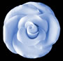 Elegance Gumpaste Large Rose - Blue