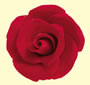 Elegance Gumpaste Large Rose - Red