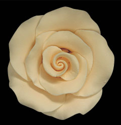 Elegance Gumpaste Large Rose - Ivory
