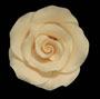 Elegance Gumpaste Large Rose - Ivory