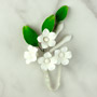 Asian Stephanotis Filler - White