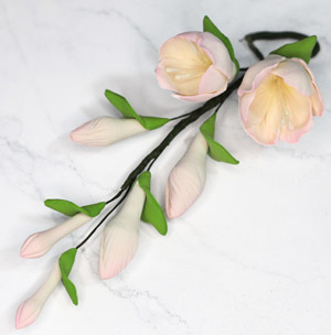 Fressia Filler - Pink
