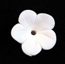 Stephanotis Flower - Medium