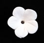 Stephanotis Flower - Medium