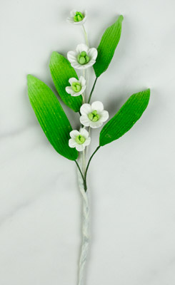 Blossom Filler Spray - 5 Petal