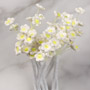 Baby's Breath Mini Bouquets