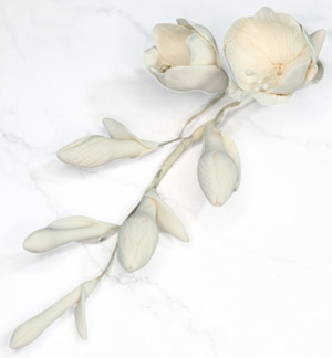 Freesia Filler - White