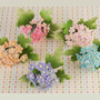 Forget-Me-Not Fillers- Mixed Colors