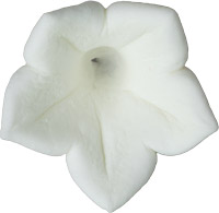Hyacinth Flower - Medium