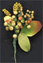 Wild Berries Spray - Green