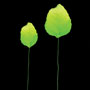 Rose Leaves on Wire - 2 Sizes