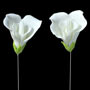 Sweet Pea Flower On Wire-White
