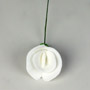 Sweet Pea Flower On Wire-White