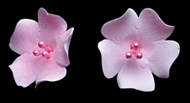 Fruit Blossom Single - Pink