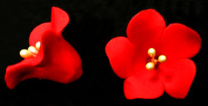 Fruit Blossom Single - Red