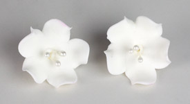 Fruit Blossom Single - White