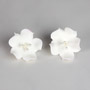 Fruit Blossom Single - White