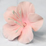 Fruit Blossom Single - Large Pink