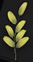 Lily Leaf Spray - 7 Petals