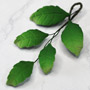 Leaf Filler - 5 Petal