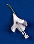 Bell Flower - Small - White W/Stem
