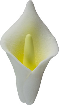 Calla Lily Flower - Medium