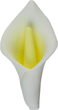 Calla Lily Flower - Large
