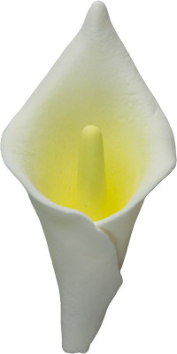 Calla Lily Flower - X-Large