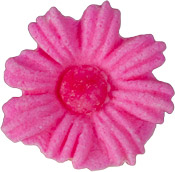 Daisies - Small - Pink