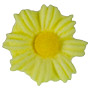 Daisies - Medium - Yellow