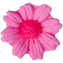 Daisies - Medium - Pink