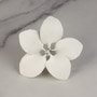 Gladiolus Single - Medium White