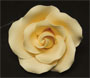 Tea Rose Single w/ Wire-Large Ivory