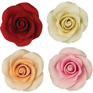 Tea Rose Single w/ Wire-Medium Mixed Col.