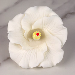 Hibiscus Flower - Medium - White