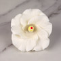 Hibiscus Flower - Medium - White