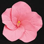 Hibiscus Flower - Medium - Pink