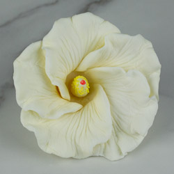 Hibiscus Flower - Large - White