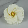 Hibiscus Flower - Large - White