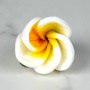 Frangipani Flower - Small - White