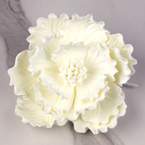 Peony Large - White