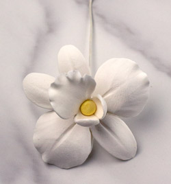 African Orchid Single - Small