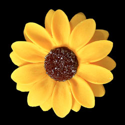 Sunflower Single