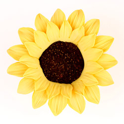 Sunflower Single (Gumpaste)-Large