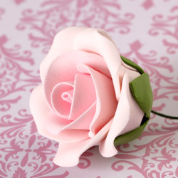 Tea Rose Single - Medium Pink