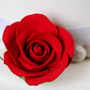 Tea Rose Single - Medium Red